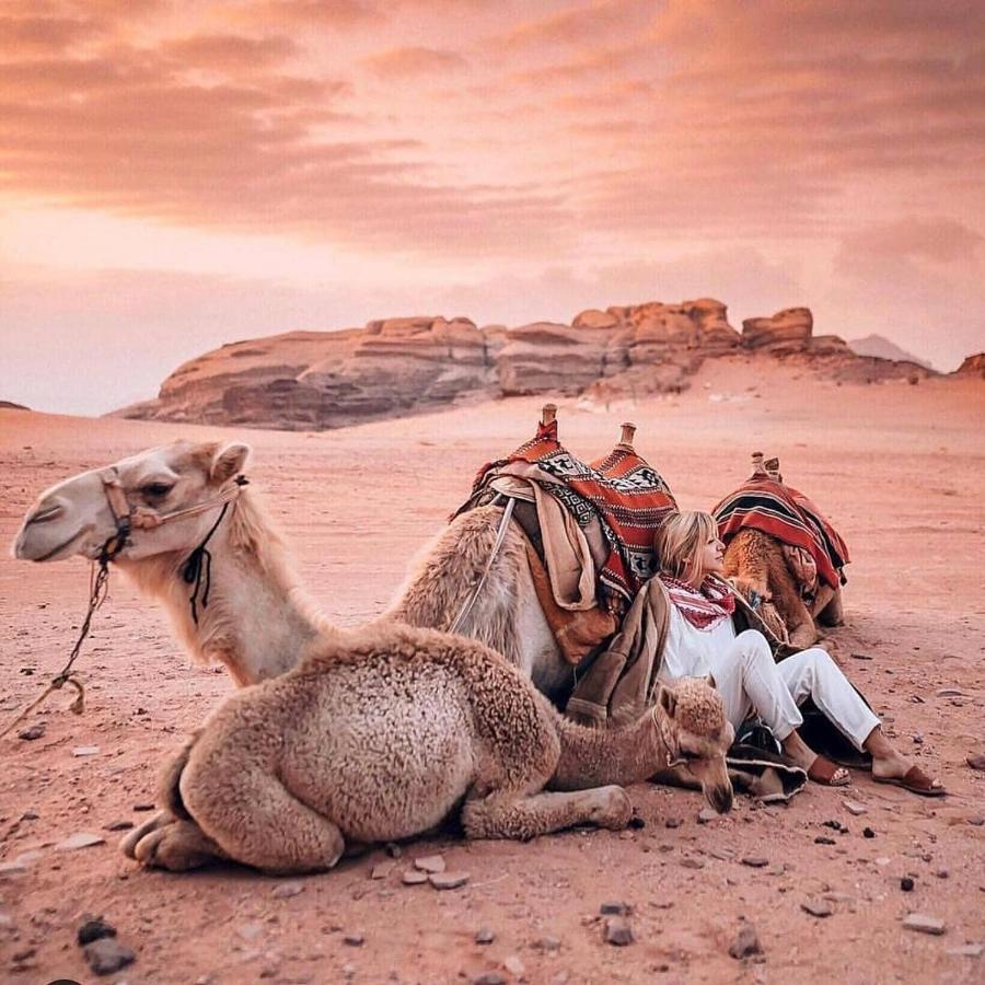 Wadi Rum Dream Camp Exterior photo